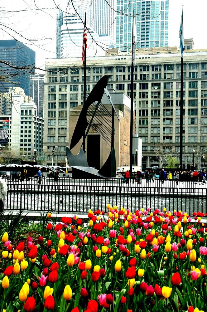 Chicago Tulips & Picasso original signed Giclee photograph by Arnold
