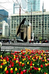 Chicago Tulips & Picasso original signed Giclee photograph by Arnold