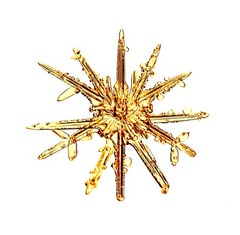 Doug Starn / SNOWFLAKE PRINT SIGNED ALLEVERYTHINGTHATISYOU SNO7.1_016 8 x 8 1st