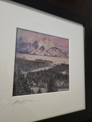 Winter / Summer 2-Phase 3D Picture Signed by Michael Brown