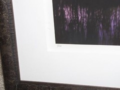 Brian Call «Lightning Reflections, Everglades» Framed Photograph 17″x25″ 1/100