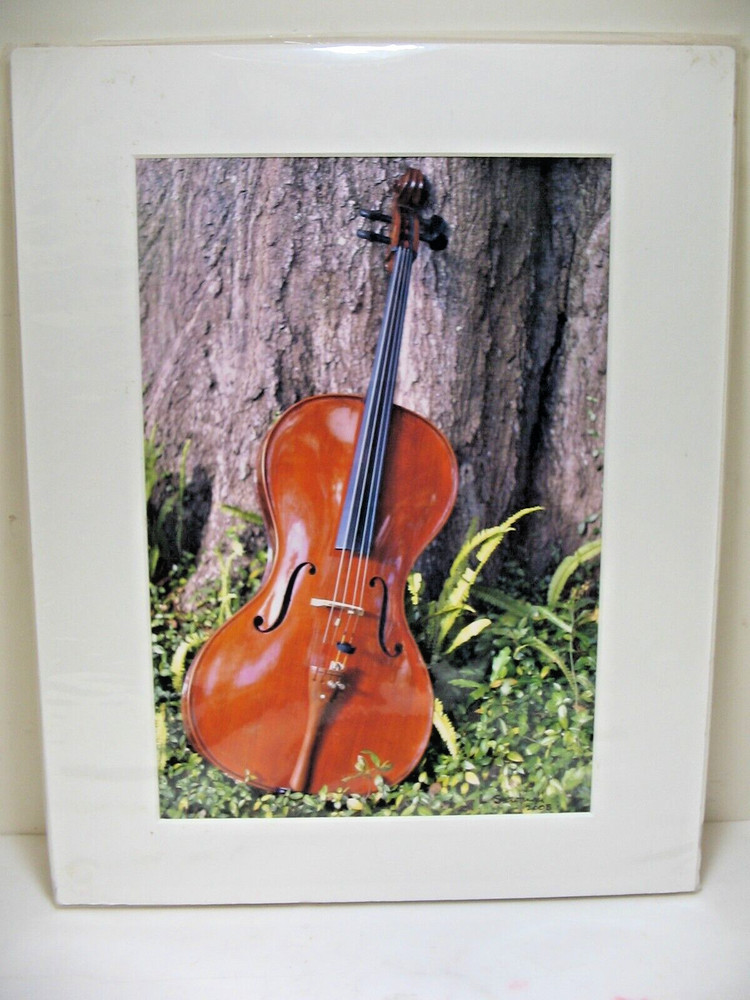ART PHOTOGRAPHY Violin 11×14 Color Photo by Larry Santucci