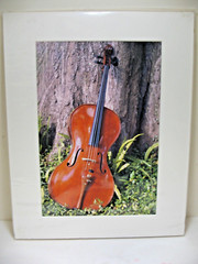 ART PHOTOGRAPHY Violin 11×14 Color Photo by Larry Santucci