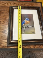 Two Signed Numbered Framed Bird Photographs Cardinal Bluebird By E.J. Kowalski