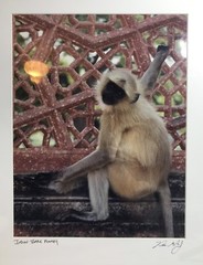 FRAMED PHOTOGRAPH – Indian Monkey Temple Signed 18 X 22