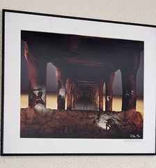 ‘Under the Manhattan Beach Pier No. 2’ photograph signed by Robert Kawika Sheer