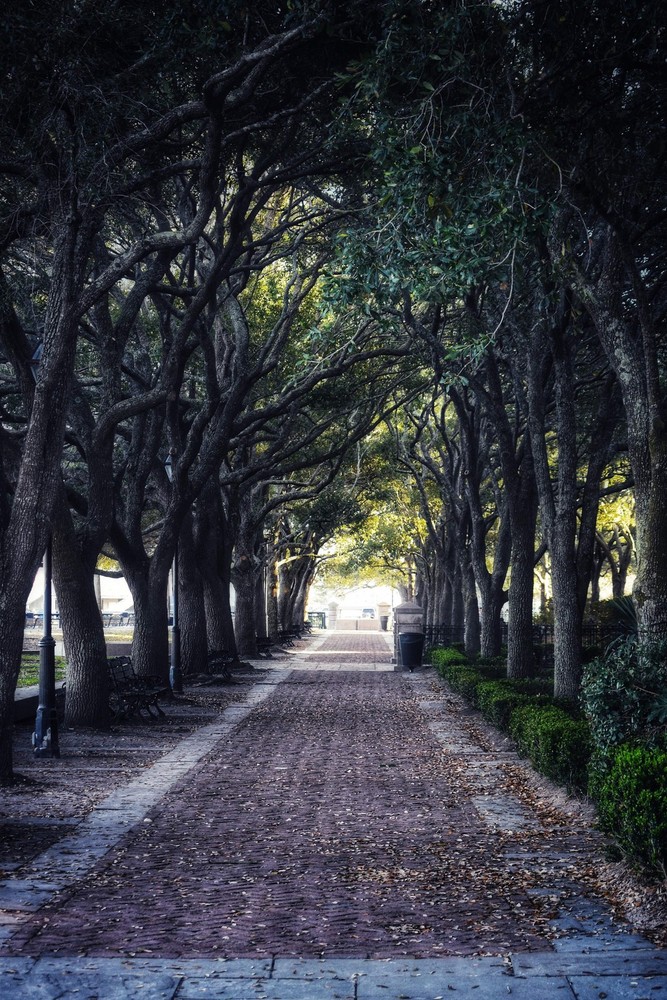 «Trunnel» Photography Wall Art & Prints