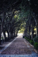 «Trunnel» Photography Wall Art & Prints