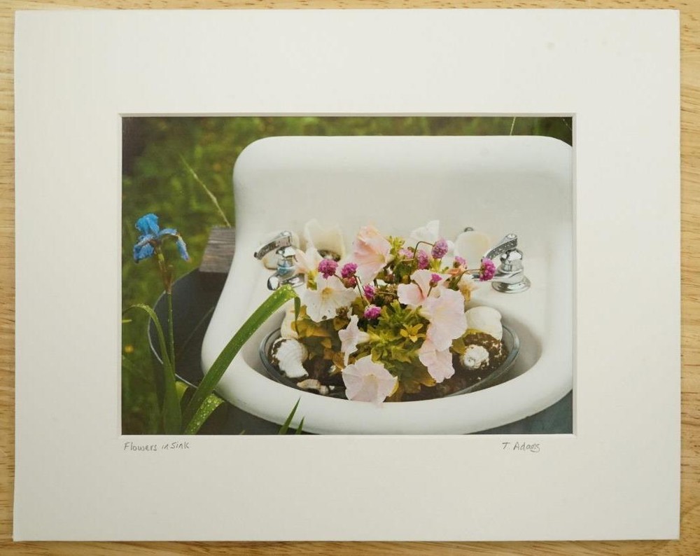 Tom Adams Photography Pink Petunias in Sink Garden Oregon Matted Photo Art 8×10