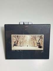 Central Park NYC Printed Photo Art
