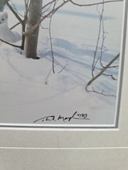 Thomas Mangelsen – Ermine in Trees (Signed 1999) 10×14 Framed