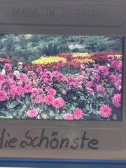🌠55 Vintage Color Slides Slide 60-80s Lake Constance Mainau Rhine Falls Nature Places Travel +