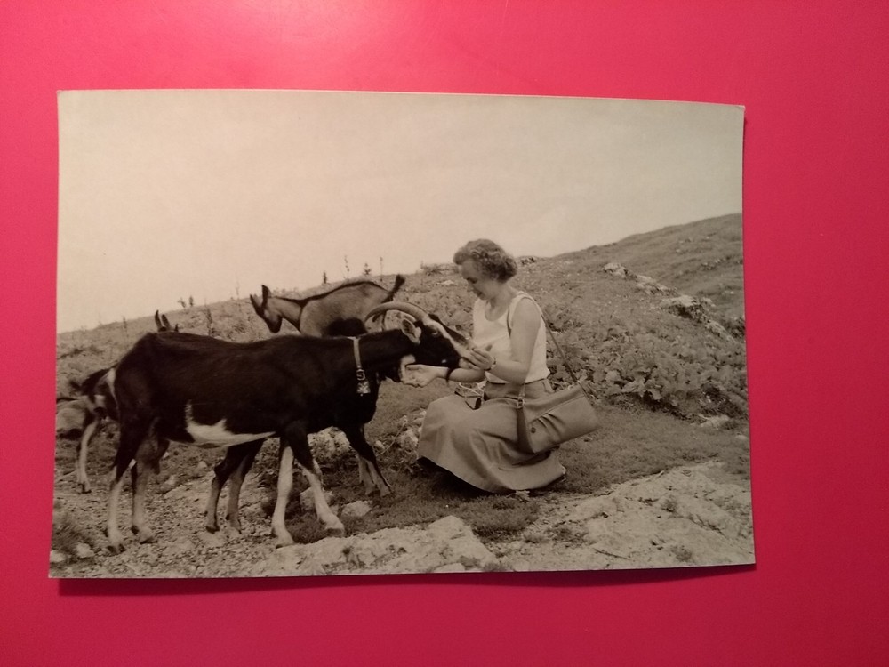 Alt Foto antik wunderschöne Frau Woman auf der Eggenalm Natur Geißbock old Photo