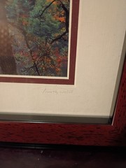 5-Piece Framed Timothy Wolcott Fine Art Photography Collection 4 Signed 1 Not