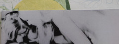 Photo slide woman nude art model GDR 1970 reprint vintage bra