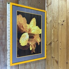JEB Framed Photography Color Still Life Canna Lily 22-3/4” x 16-3/4” x 5/8”