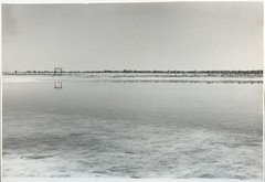 B&W art photography by Camilo Ramirez . Analogue Photography on Ilford Mat Paper
