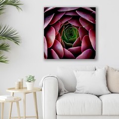 Succulent, Abstract Floral, Nature Art, Fine Art Photo on Metal, Canvas or Paper