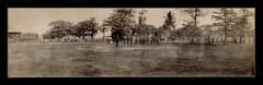 Real Panoramic Photographic Print of Philippines ca 1900-10 (11 1/2″x3 1/4″ ) M