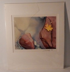 Vintage 1996 Steve Solinsky Nature Art Photo Smokey Water