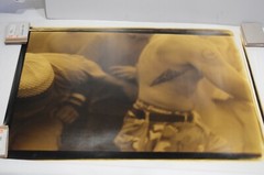 Janine Gordon Color Photograph Mural Mosh Pit Sepia Torso Total Control Of Chaos