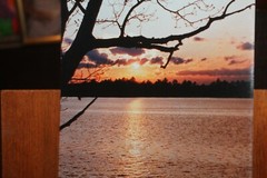 Vintage Signed 8×12 Photo W. Beebe East Tennessee lake Sunset