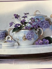 RARE Vintage 1983 Art Poster Series 700B Art Gore Photograph “Violets” Framed