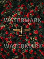 Digital Photo Image Vintage Poster Plane Roses Picture Art Wallpaper Desktop