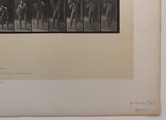 EADWEARD MUYBRIDGE authentic 1887 collotype ANIMAL LOCOMOTION PLATE 218 – lewitt