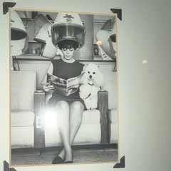 Vintage Black & White Photograph Woman Under Hair Dryer w/ Dog, Framed Matted