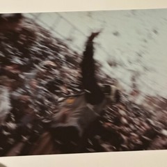 Janine Gordon Photograph 60″x72″ C-print Edition Grid Bike Kill Signed Fine Art