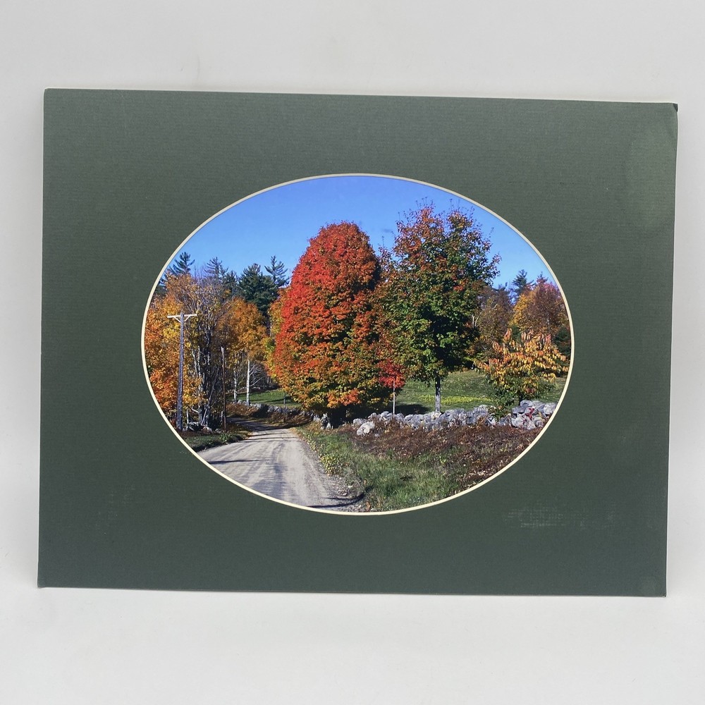 Matted Landscape Photo Print 11 X 14 Wall Art Gallery Decor