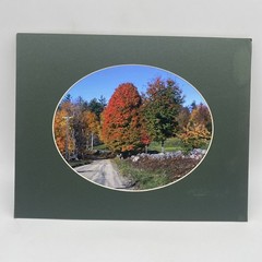 Matted Landscape Photo Print 11 X 14 Wall Art Gallery Decor