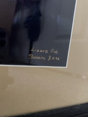Bonaire Lizard Fish by J. Haines signed 1994