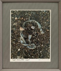 Todd Weinstein Prophet Dead Sea Israel 2013 Signed Contemporary Photography