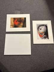 Moose, Cardinal, And Puffin Photographs 10 X 8 And 8 X 10 Barely Used