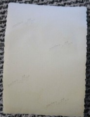 Foto 1935 Mädchen junge Hund Dog Frau woman Girl M1