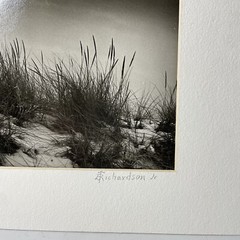 Vintage Photograph ‘On the Dunes’ Scarborough Matted Picture Beach Maritime