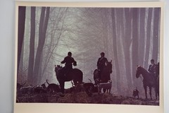 Vintage Analog Photo France Hunting Foxhunting Horse 24X30Cm 1970