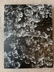 Record 2 by Daido Moriyama