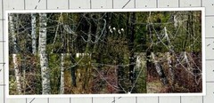 Susan Rankaitis (b. 1949) Art Announcement Card 2007 – Limbicwork