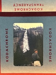 Kodachrome Red Border Lot Of 40 1950’s Camping Trip Flowers 35mm Color Slides