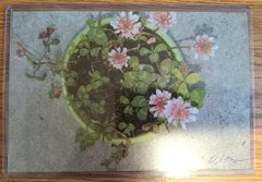 Flowers of Glory (Photo Print)