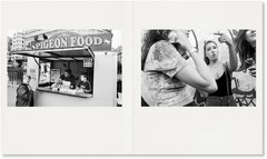 Ed Templeton City Confessions #2 London 1st Ed Photo Book New Rare
