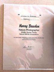 «Window to Splendor» Wyoming signed by Harry Bowden Nature Photographer #130/500