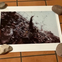 Janine Gordon Photograph 60″x72″ C-print Edition Grid Bike Kill Signed Fine Art