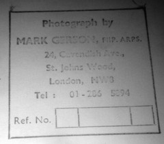1966 Charles Percy SNOW Writer Mark Gerson Original Photo