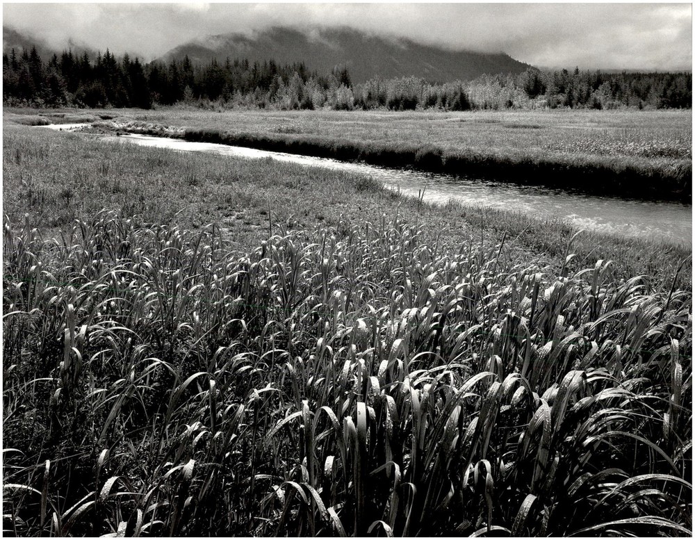 1949 1990s Ansel Adams Rain Beartrack Cove Glacier Bay Alaska Large Art Photo
