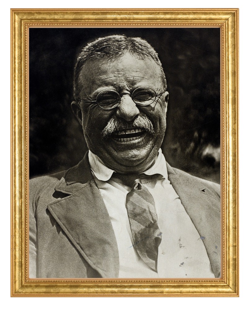 Theodore Roosevelt Photograph in a Aged Gold Frame