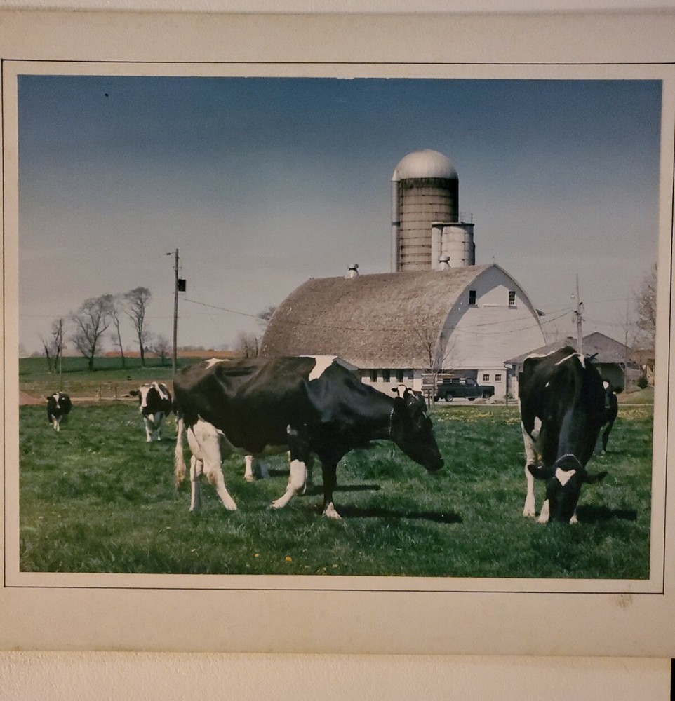 PASTORAL LARGE ORIGINAL SIGNED ART PHOTO COLOR STETTNER VTG MATTE NJ CAMERA